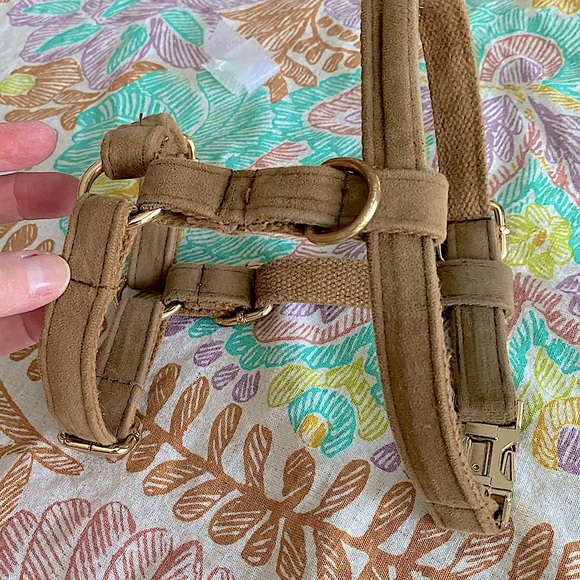 2 heavy dog harnesses. Great for frenchie, pug or any other stocky dog. EC.S & M - Picture 8 of 16